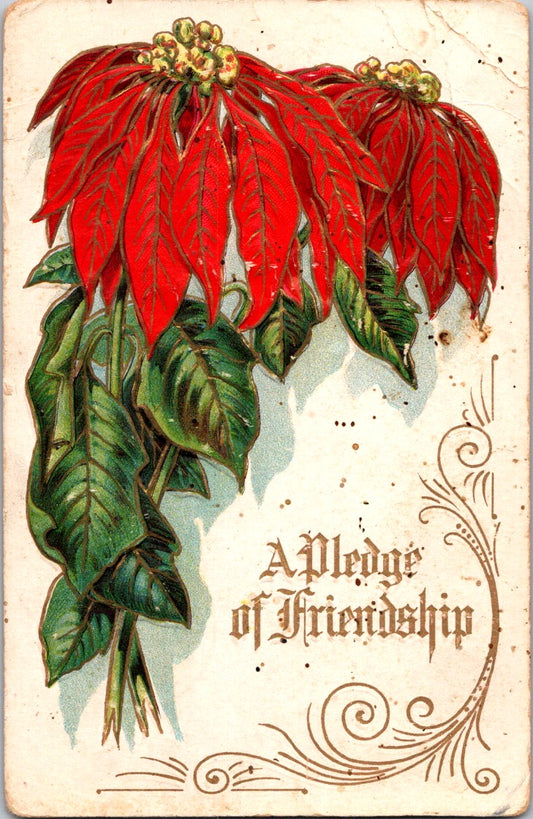 Vintage Postcard Poinsettia A Pledge Of Friendship Posted US One Cent