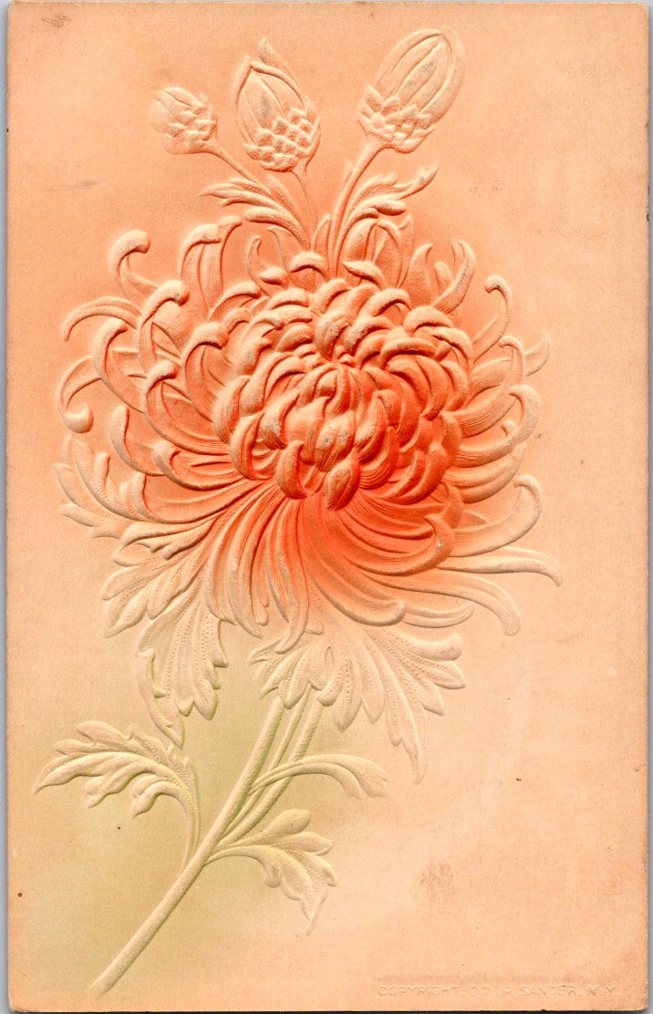 Vintage Postcard Flower Embossed Posted 1907 US Postage One Cent