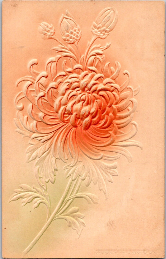 Vintage Postcard Flower Embossed Posted 1907 US Postage One Cent