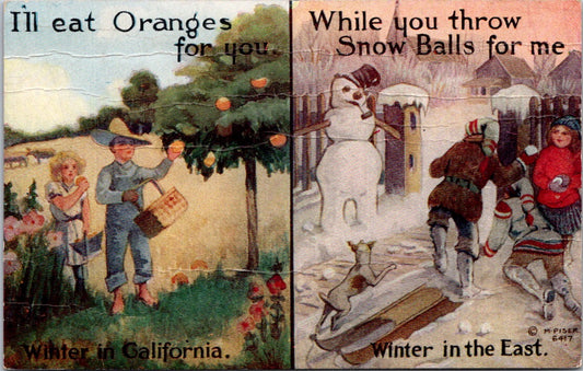 Vintage Postcard Oranges Winter In California Snowballs Winter In The East