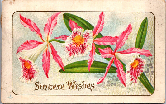 Vintage Postcard Flowers Sincere Wishes Pennsylvania Posted 1912 US One Cent