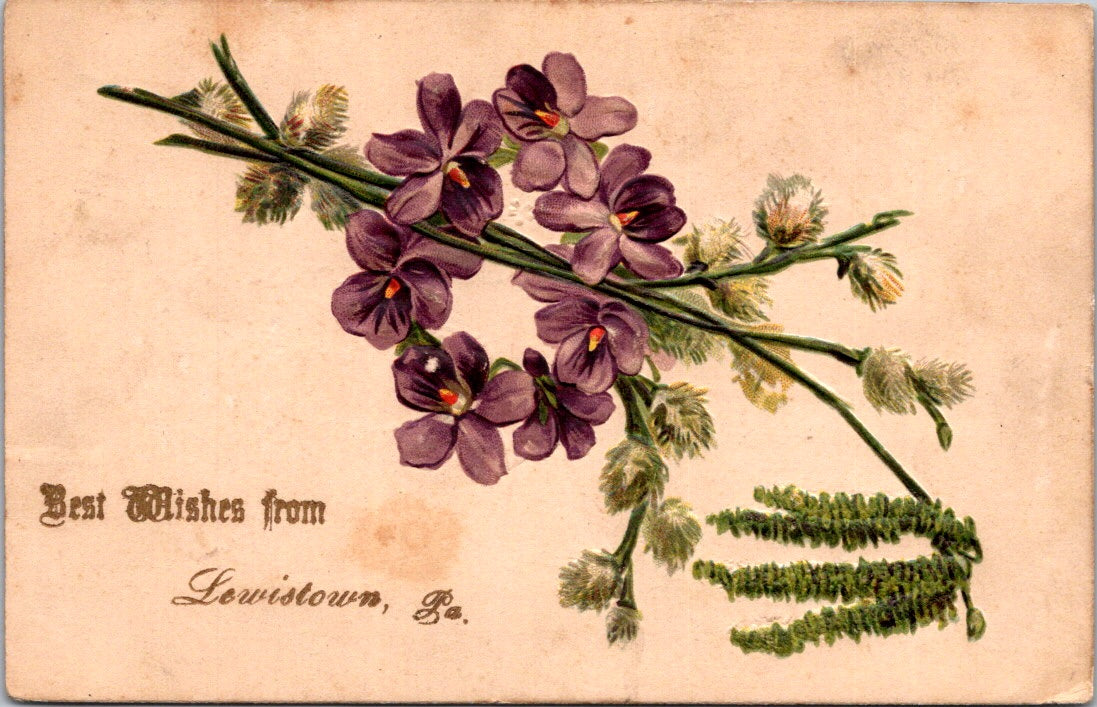 Vintage Postcard Flowers Best Wishes From Lewiston Pennsylvania Posted 1907