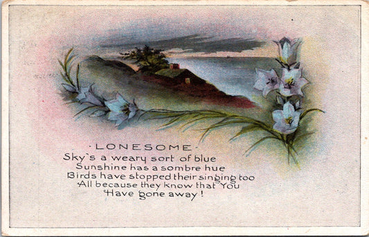 Vintage Postcard Flower Lonesome Sky Is A Weary Sort Of Blue Posted 1919