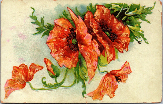 Vintage Postcard Flowers Posted 1907 United States One Cent