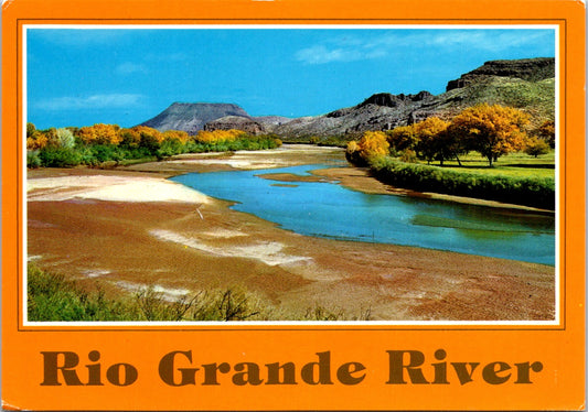 Vintage Postcard The Rio Grande River New Mexico United States Unposted