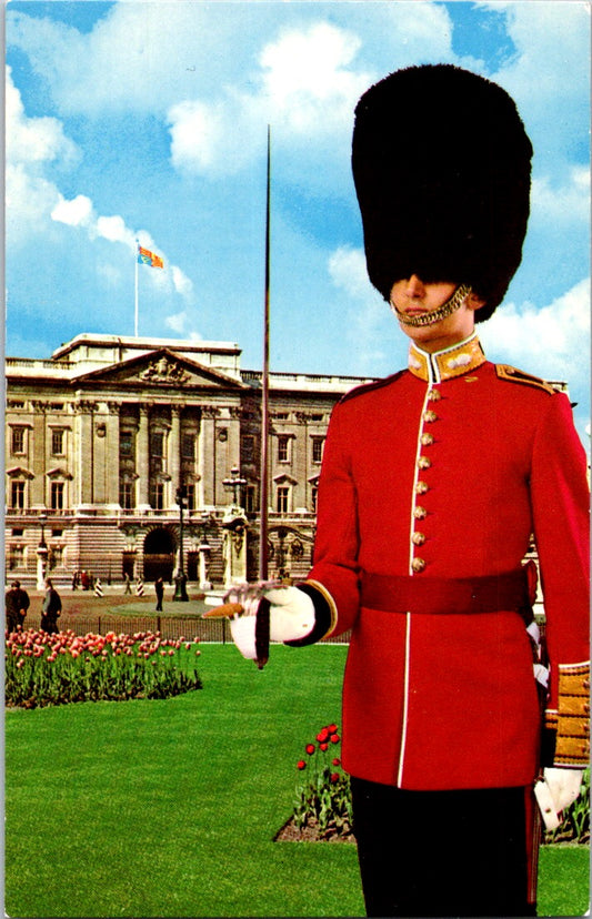 Vintage Postcard An Ensign Grenadier Guards England United Kingdom Unposted