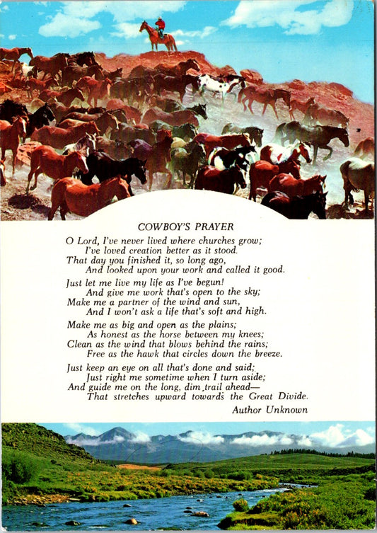 Vintage Postcard Cowboy's Prayer Feelings Of An Outdoor Man Unposted