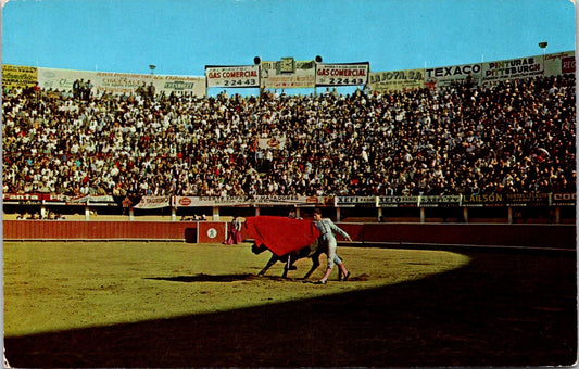 Old Vintage Postcard A Forehand Overlooked Bull Fighting Unposted