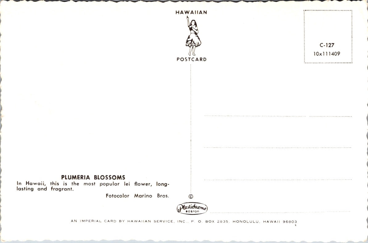 Vintage Postcard Plumeria Blossoms Lei Flower Hawaii United States Unposted