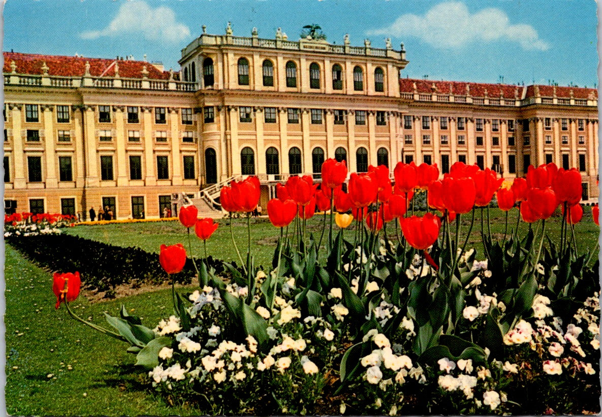 Vintage Postcard Red Tulips The Schönbrunn Palace Vienna Austria Unposted