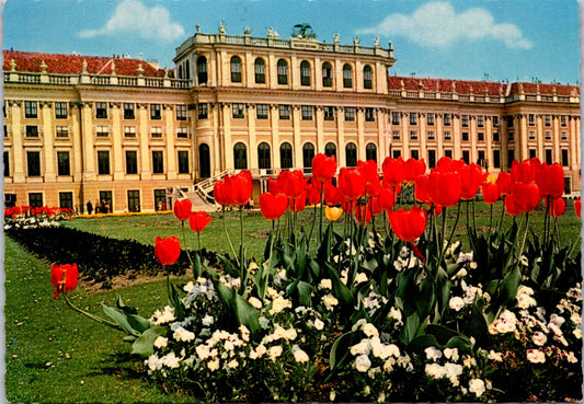 Vintage Postcard Red Tulips The Schönbrunn Palace Vienna Austria Unposted