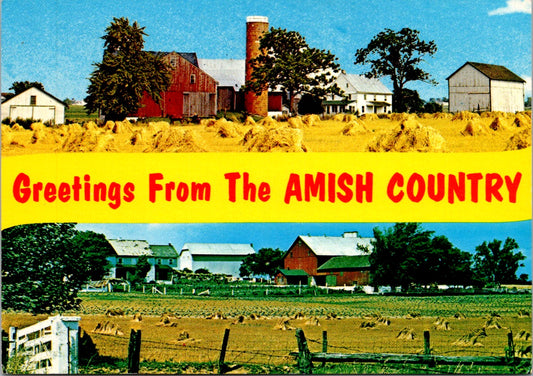 Vintage Postcard Greetings From Amish Country Lancaster Pennsylvania Unposted