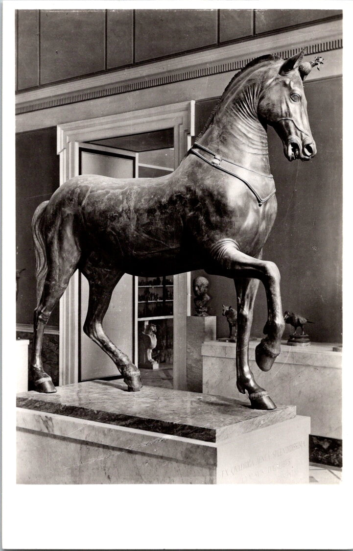 Vintage Postcard Bronze A Horse Naples National Archaeological Museum Italy