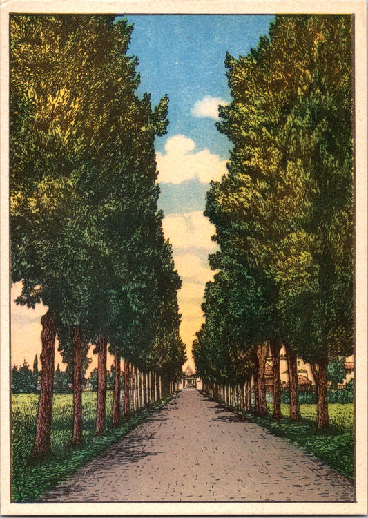 Vintage Postcard Pio IX Avenue Catacombs Of Saint Callixtus Italy Unposted