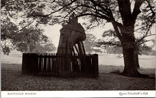 Vintage Postcard Queen Elizabeth's Oak Hatfield House England United Kingdom