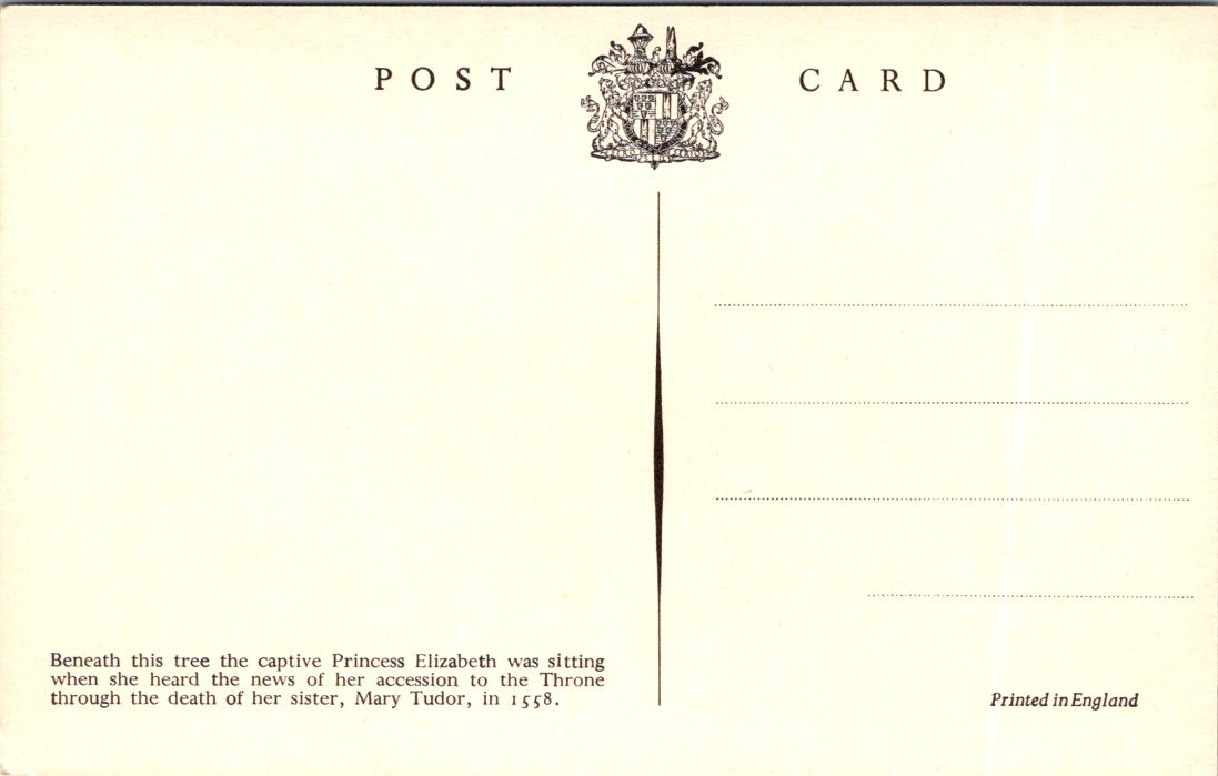 Vintage Postcard Queen Elizabeth's Oak Hatfield House England United Kingdom