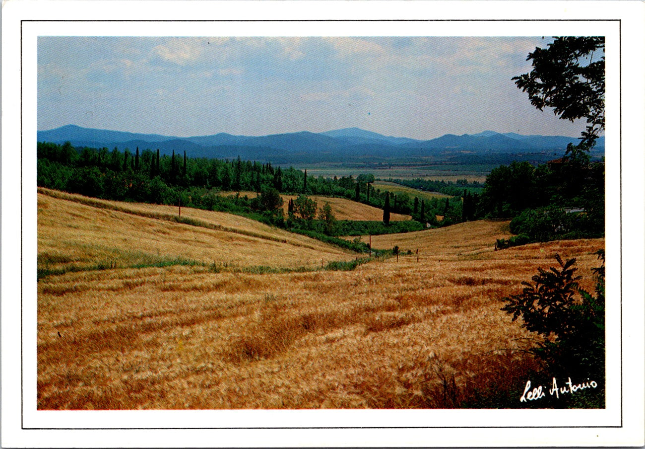 Vintage Postcard La Bottega dell'Arte Land Of Siena Italy Unposted