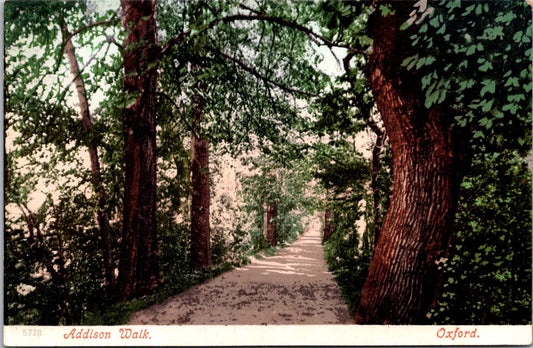 Vintage Postcard The Addison Walk Oxford England United Kingdom Unposted