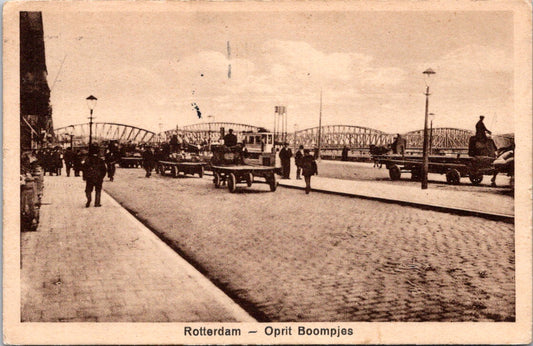 Vintage Postcard Oprit Boompjes Driveway Trees Rotterdam Netherlands Unposted