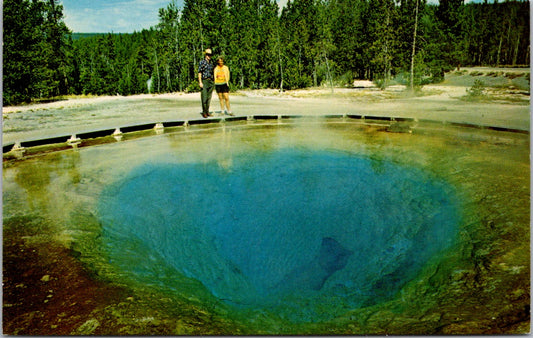 Vintage Postcard Morning Glory Pool Yellowstone National Park Wyoming Unposted