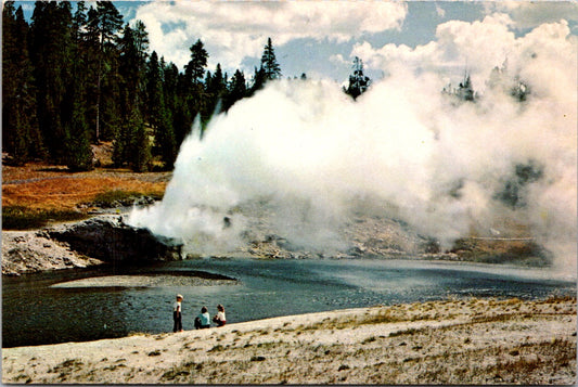 Vintage Postcard Riverside Geyser Yellowstone National Park United States