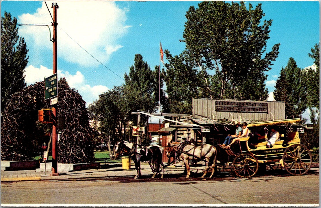 Vintage Postcard Elk Horn Arch Jackson Wyoming United States Unposted