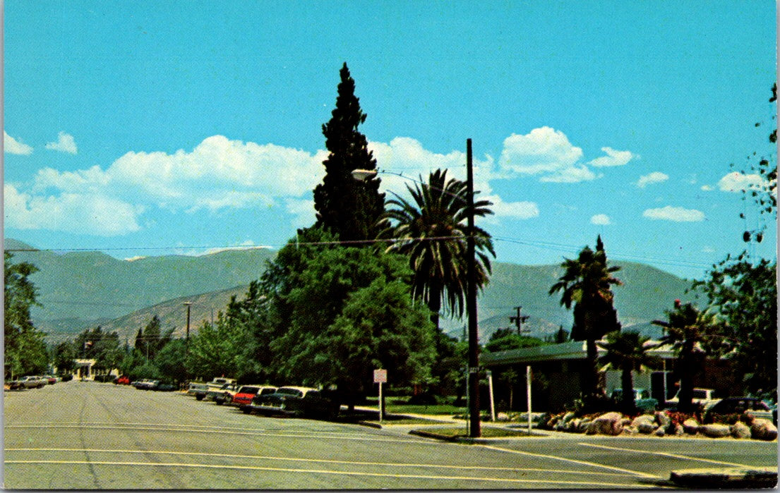 Vintage Postcard Greetings From Banning California United States Unposted