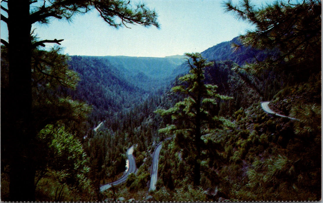 Vintage Postcard Famous Oak Tree Canyon Switchback Road United States Unposted