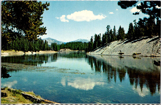 Vintage Postcard Yellowstone River National Park Wyoming United States Unposted