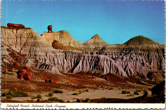 Vintage Postcard The Blue Mesa Pedestal Log Arizona United States Unposted