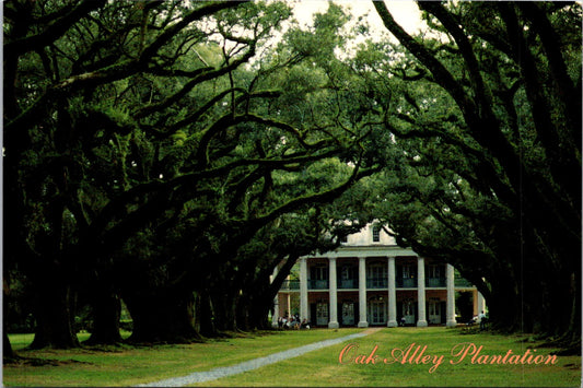 Vintage Postcard Oak Alley Plantation Vacherie Louisiana United States Unposted