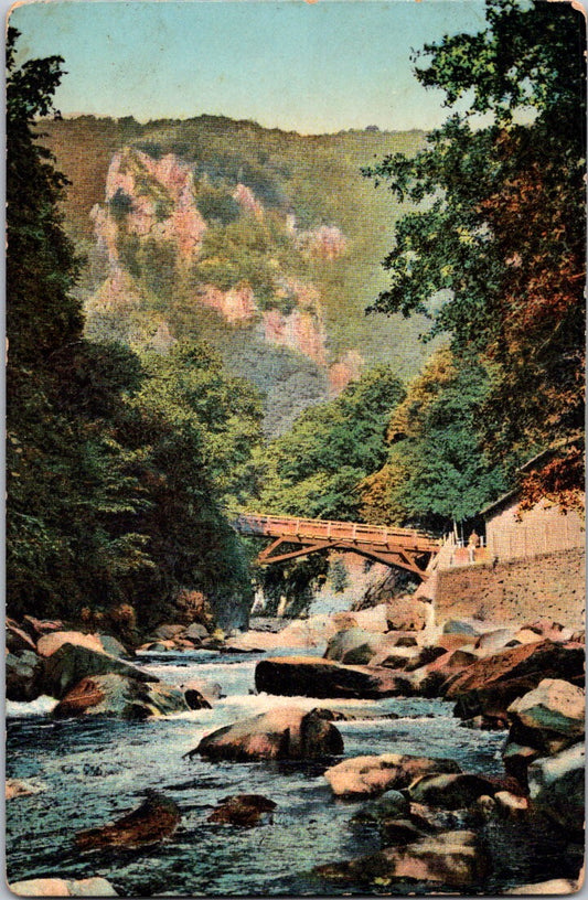 Vintage Postcard Jungfernbrücke From Bodetal Thale Germany Unposted