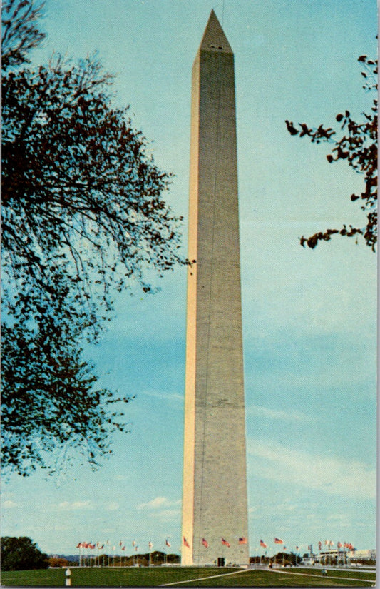 Vintage Postcard The Washington Monument United States Unposted