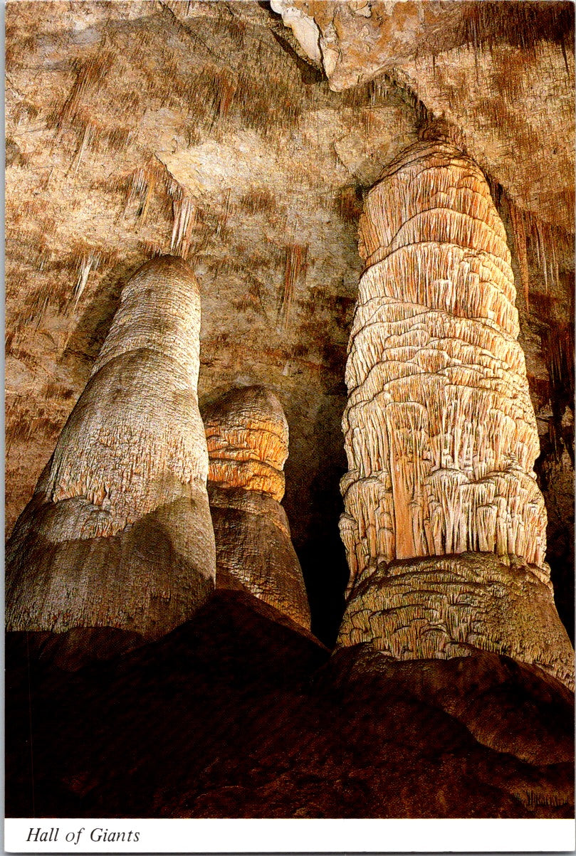 Vintage Postcard Hall Of Giants Carlsbad Caverns National Park New Mexico