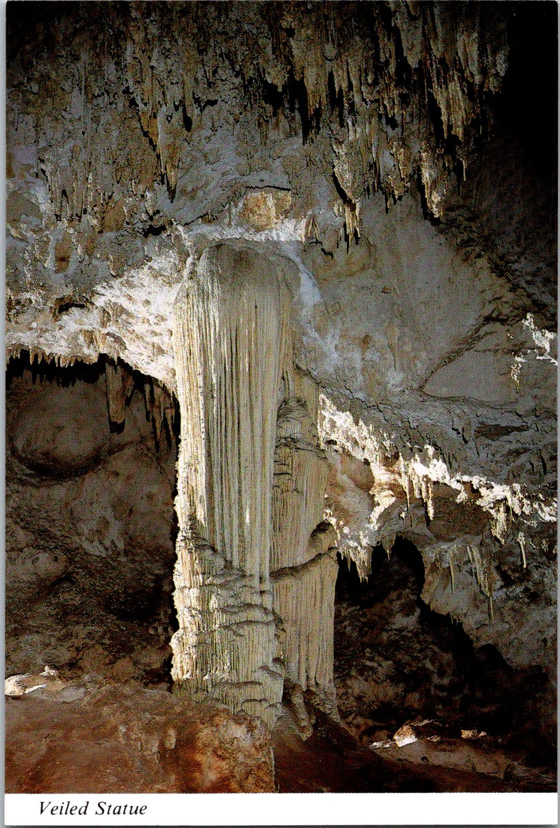 Vintage Postcard Veiled Statue Carlsbad Caverns National Park New Mexico