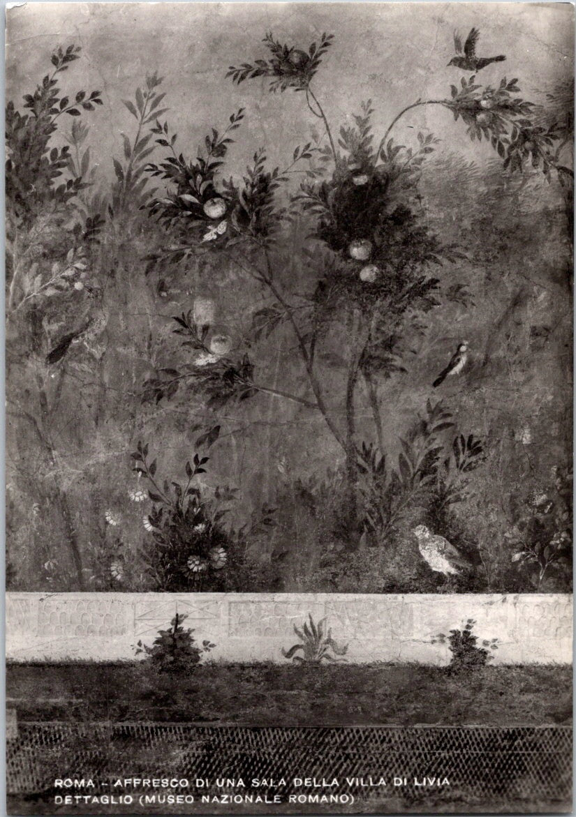 Vintage Postcard Fresco Of A Room In The Villa Of Livia Birds Pomegranate Tree