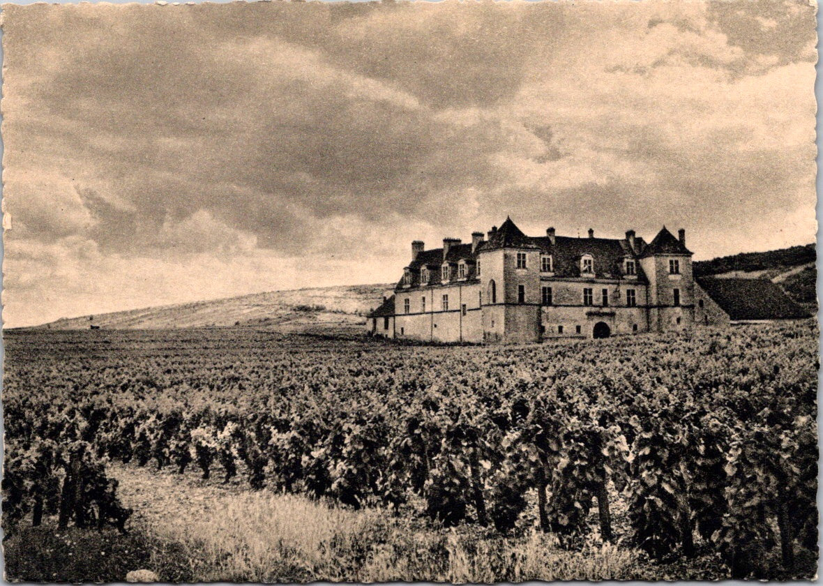 Vintage Postcard Head Of The Knights The Clos de Vougeot Castle France Unposted