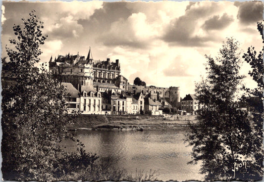 Vintage Postcard The Château Royal d'Amboise France Unposted