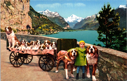 Vintage Postcard Flüelen Switzerland Saint Bernhard Zwinger Zwing Ur Unposted