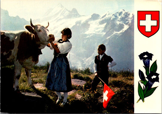 Vintage Postcard Landscape Bernese Oberland Switzerland Unposted