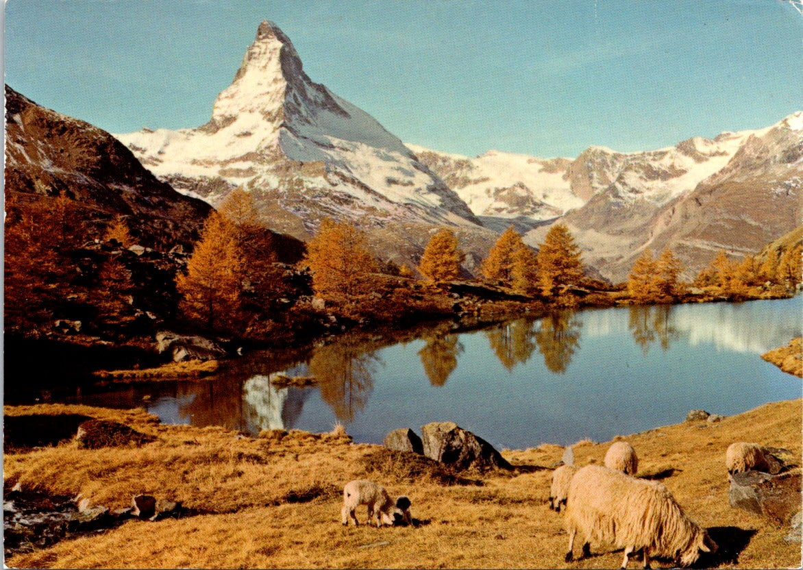 Vintage Postcard Zermatt Le Cervin Switzerland Unposted