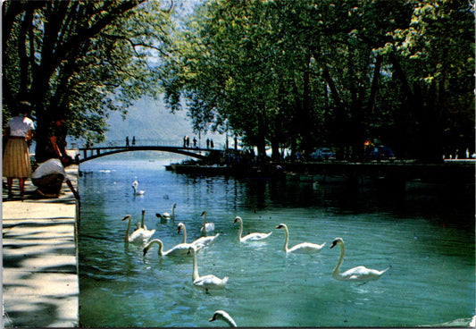 Vintage Postcard Lake Annecy Swans Arch Of Greenery Near The Pont des Amours