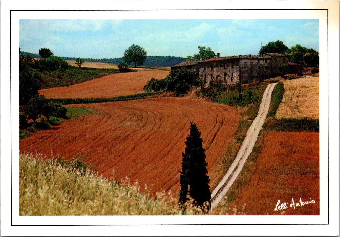 Vintage Postcard La Botegga Dell'arte Tuscanay Florence Italy Unposted