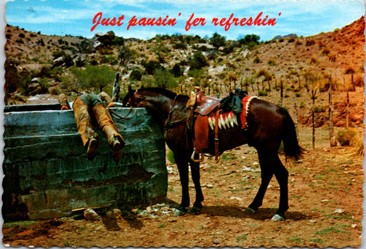 Vintage Postcard Horse And Mana Just Pausing For A Little Refreshing Unposted