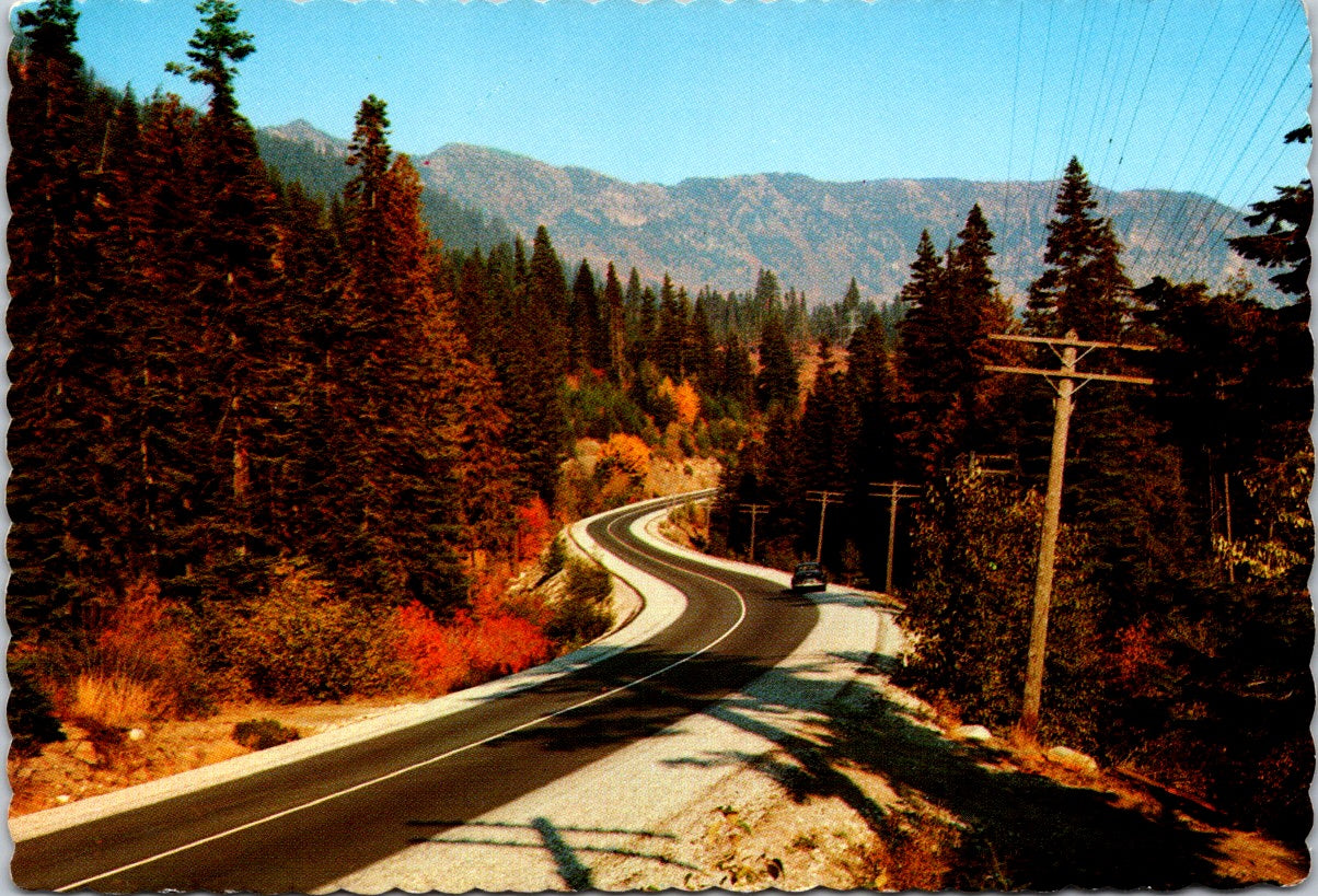 Vintage Postcard Autumn On Steven Pass Washington United States Unposted