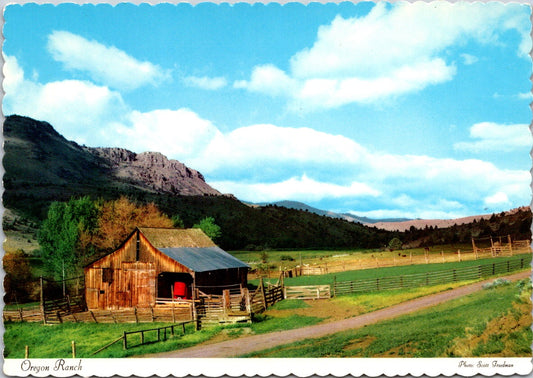 Vintage Postcard The Typical Scene At Oregon Ranch United States Unposted