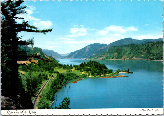 Vintage Postcard Columbia River Gorge Separating Oregon And Washington Unposted