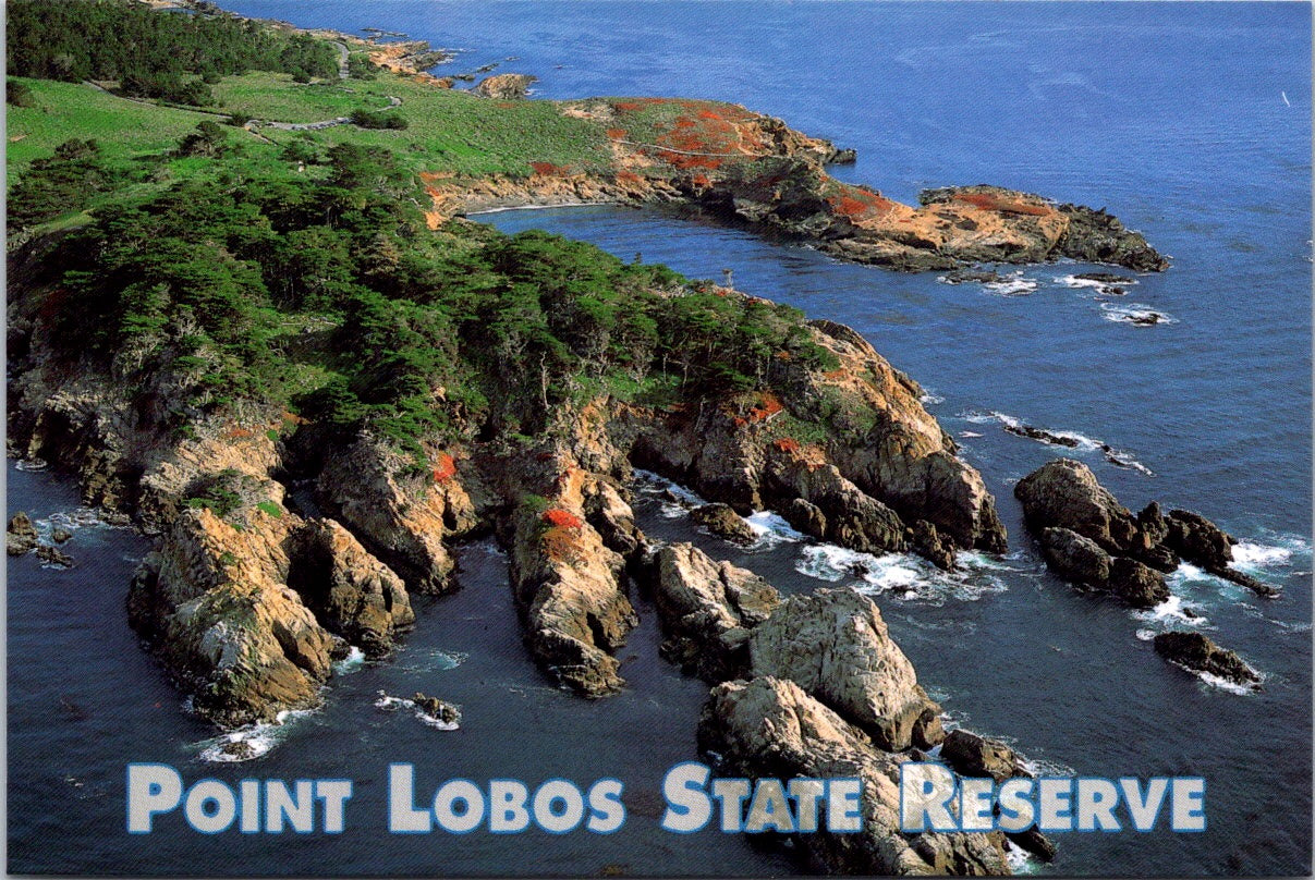 Vintage Postcard Point Lobos State Natural Reserve California United States