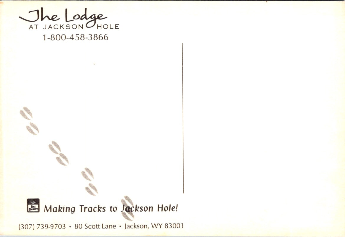 Vintage Postcard The Lodge At Jackson Hole Wyoming United States Unposted