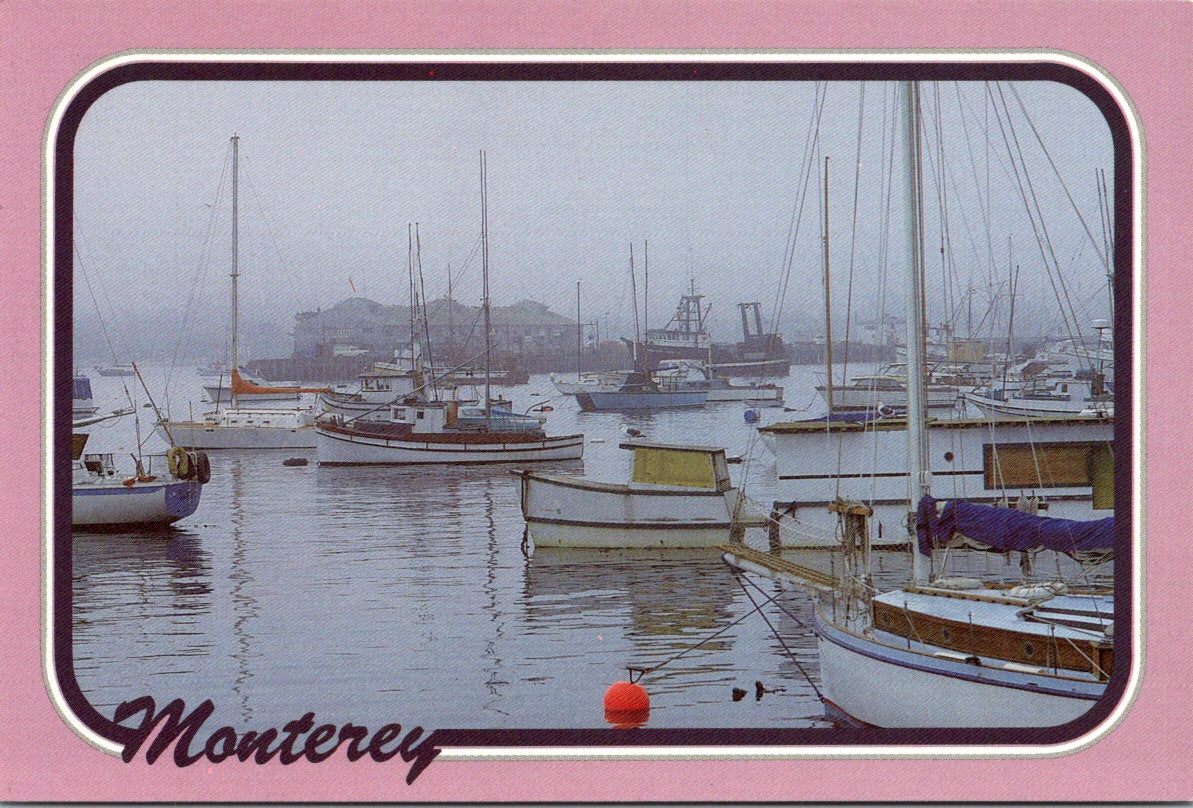 Vintage Postcard The Monterey Bay California United States Unposted